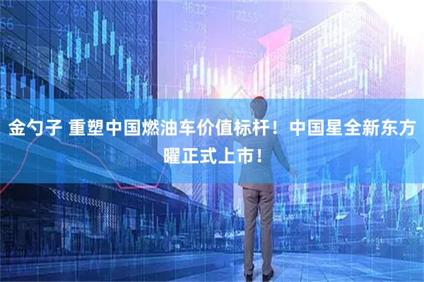 金勺子 重塑中国燃油车价值标杆！中国星全新东方曜正式上市！