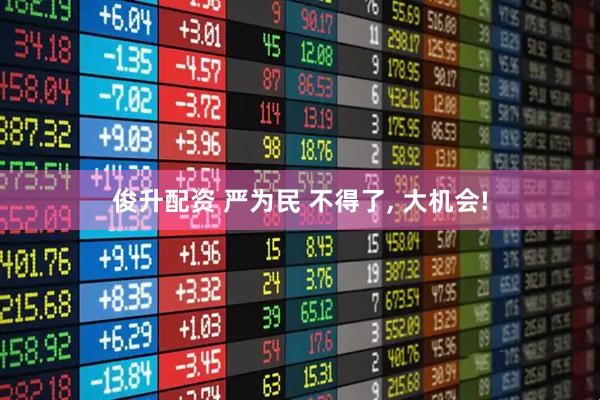 俊升配资 严为民 不得了, 大机会!