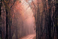 手机股票软件哪个最好用:股票怎么配资官网-最高20万购房补贴！湖南一地放大招